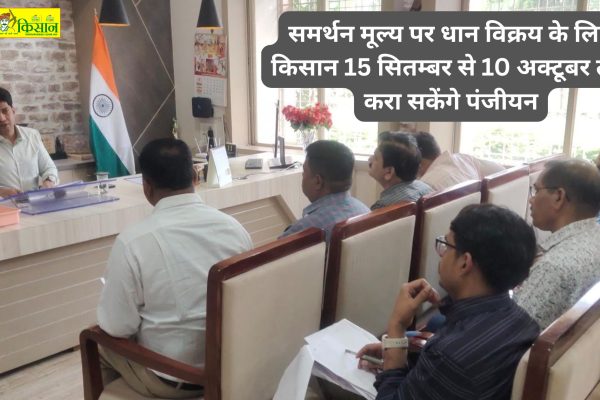 Farmers will be able to register for selling paddy at the support price from 15 September to 10 October