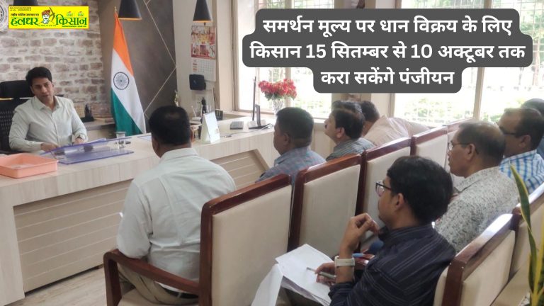 Farmers will be able to register for selling paddy at the support price from 15 September to 10 October