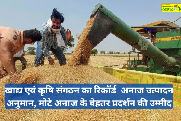 Food and Agriculture Organizations record grain production estimate coarse grains expected to perform better