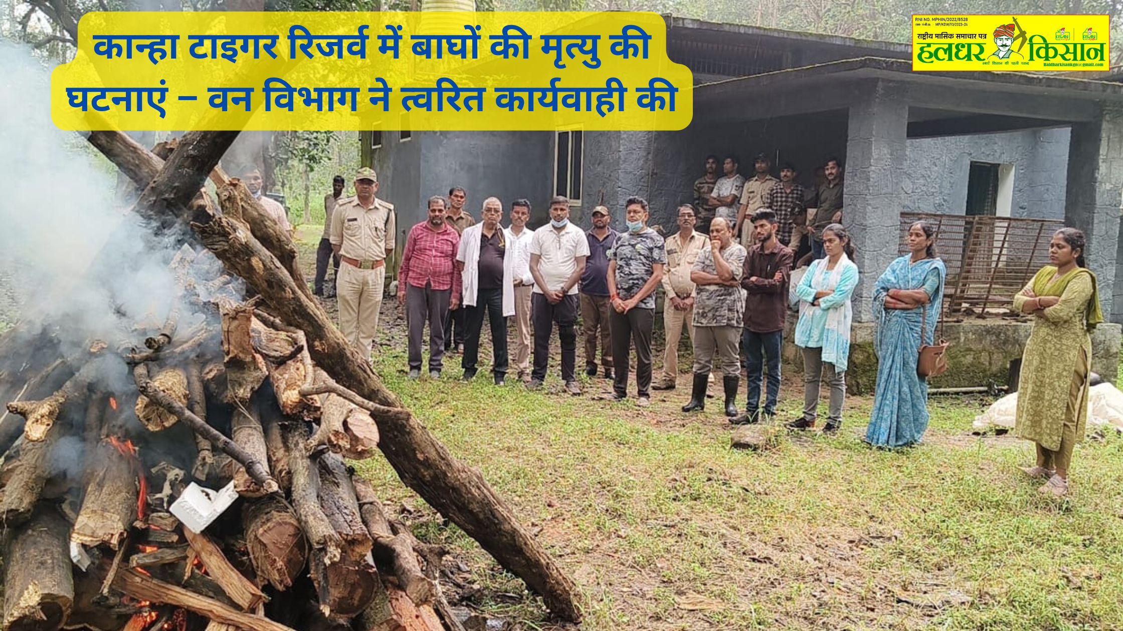 Find out about the Forest Departments swift action on tiger deaths in Kanha Tiger Reserve. Learn what steps have been taken