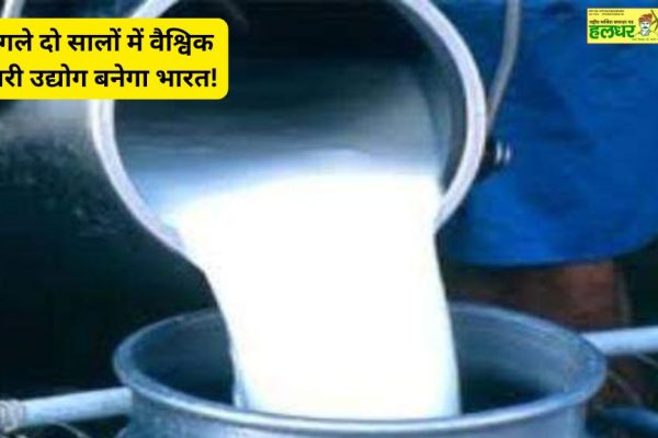 India will become a global dairy industry in the next two years