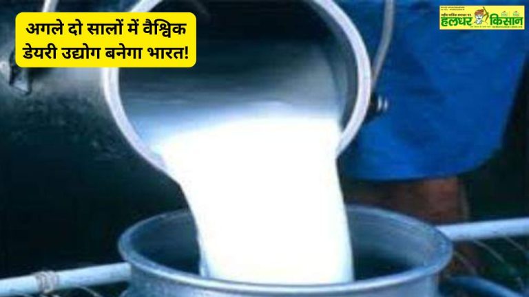 India will become a global dairy industry in the next two years