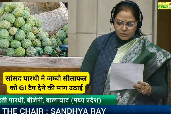 MP Pardhi raised the demand for giving GI tag to Jumbo Custard Apple