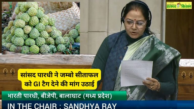 MP Pardhi raised the demand for giving GI tag to Jumbo Custard Apple