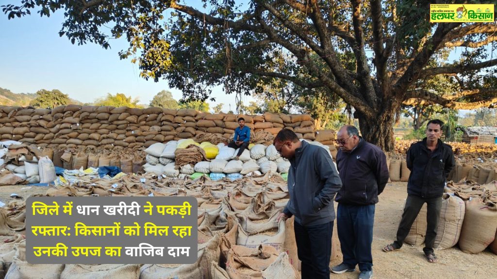 Paddy procurement picks up pace in the district Farmers are getting fair prices for their produce