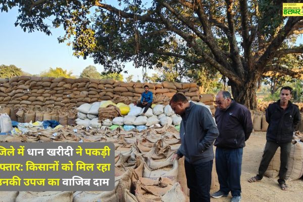 Paddy procurement picks up pace in the district Farmers are getting fair prices for their produce