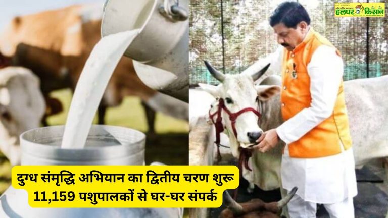 Second phase of Dugdh Samriddhi Abhiyan begins – door to door contact with 11159 cattle rearers