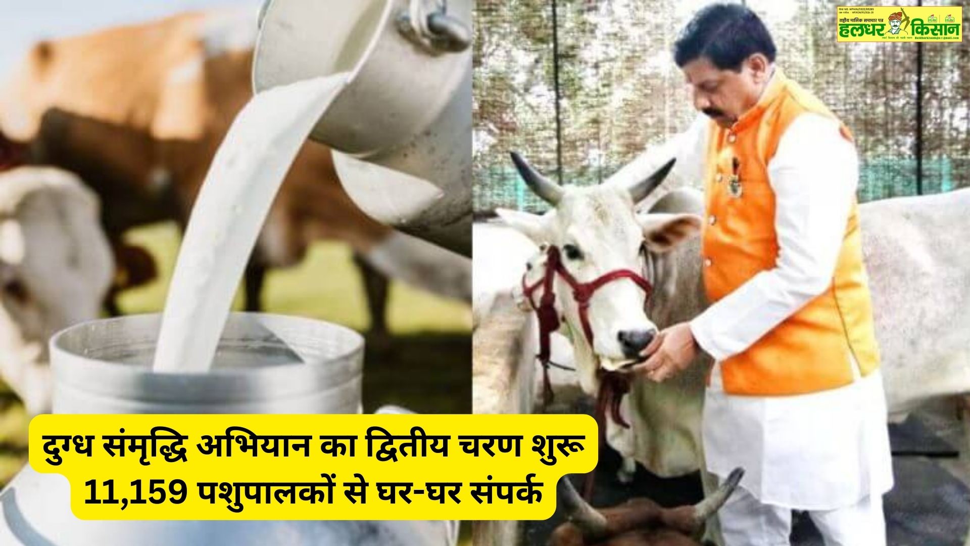 Second phase of Dugdh Samriddhi Abhiyan begins – door to door contact with 11159 cattle rearers