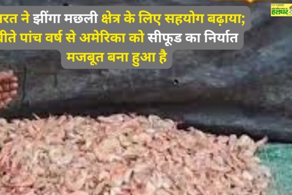 किसानों को बड़ी सौगात जंगली जानवरों से फसल नुकसान अब PMFBY बीमा के दायरे में 1