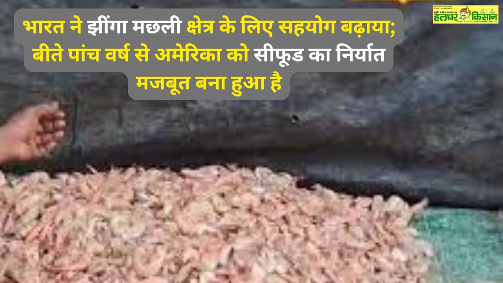 किसानों को बड़ी सौगात जंगली जानवरों से फसल नुकसान अब PMFBY बीमा के दायरे में 1