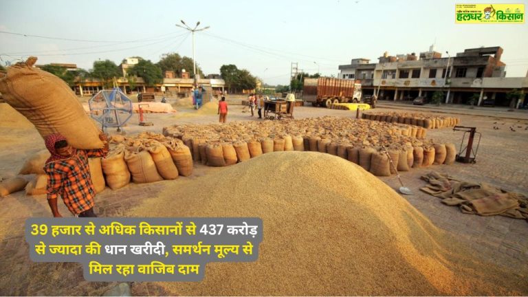 किसानों को बड़ी सौगात जंगली जानवरों से फसल नुकसान अब PMFBY बीमा के दायरे में 3