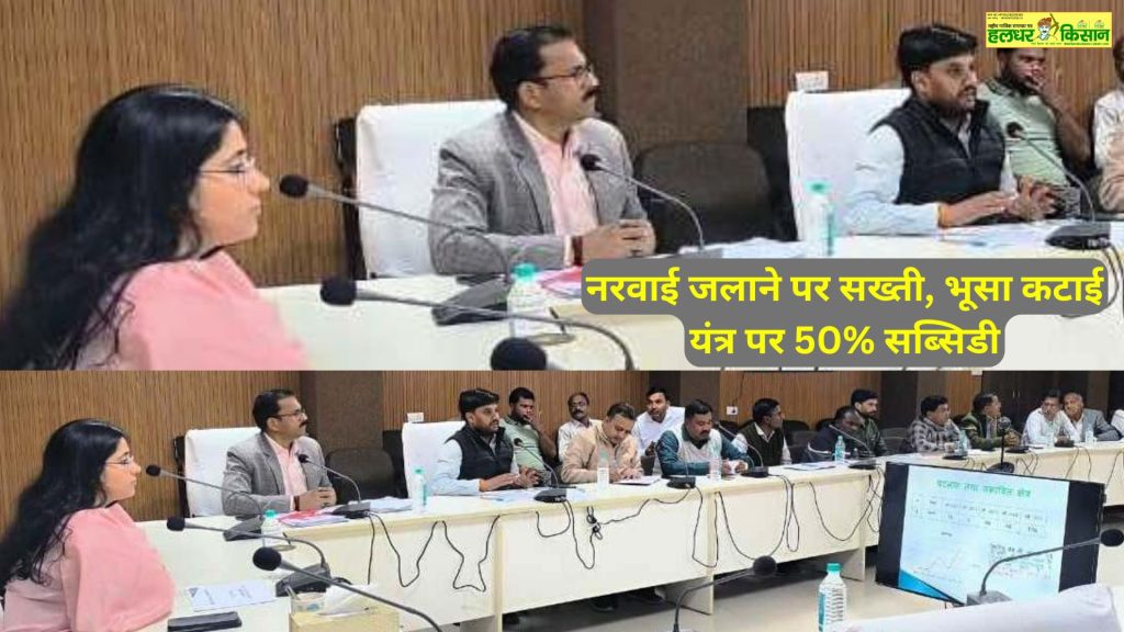 Strict action against stubble burning 50 subsidy on straw cutting machines