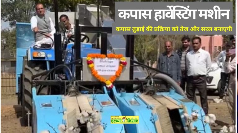 A big gift on the 51st foundation day Cotton will now be harvested by machine says Union Agriculture Minister Shivraj Singh Chouhan