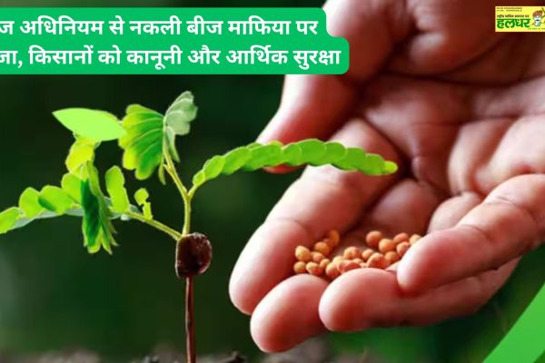 Crack down on the counterfeit seed mafia with the Seeds Act Learn how this law provides legal and financial protection to farmers