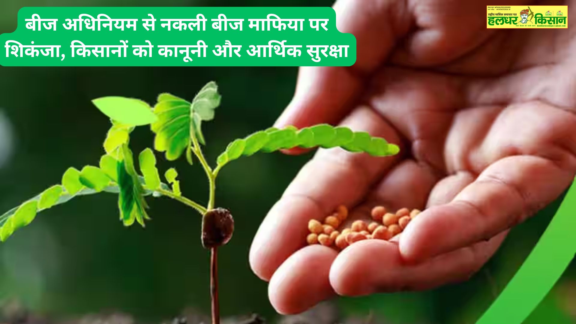 Crack down on the counterfeit seed mafia with the Seeds Act Learn how this law provides legal and financial protection to farmers