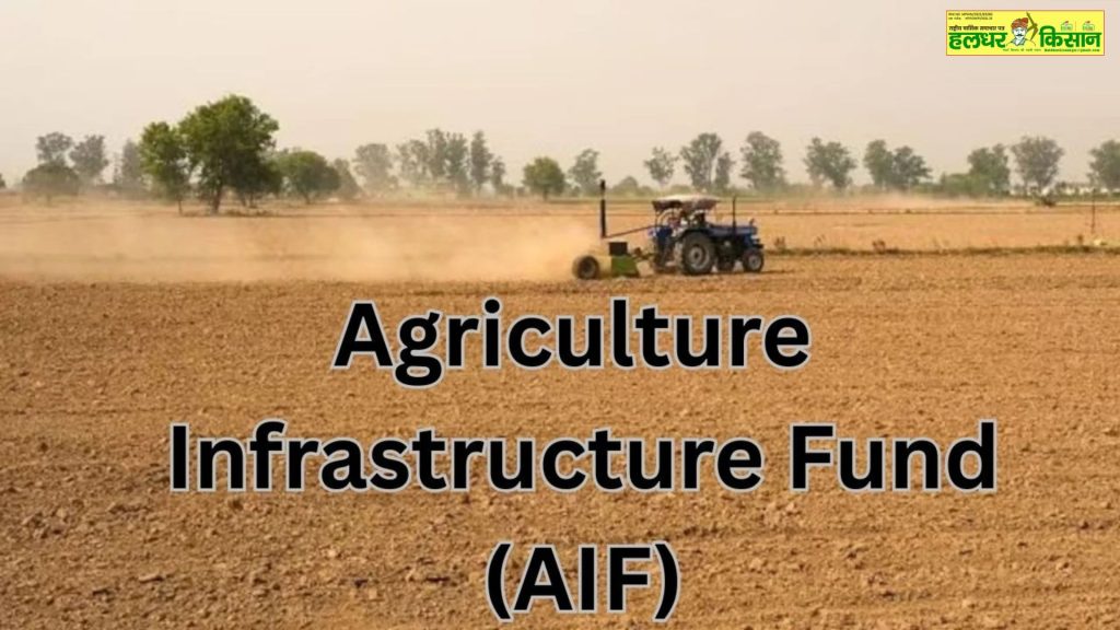 Loan interest waiver strengthens agricultural infrastructure AIF gives farmers new strength