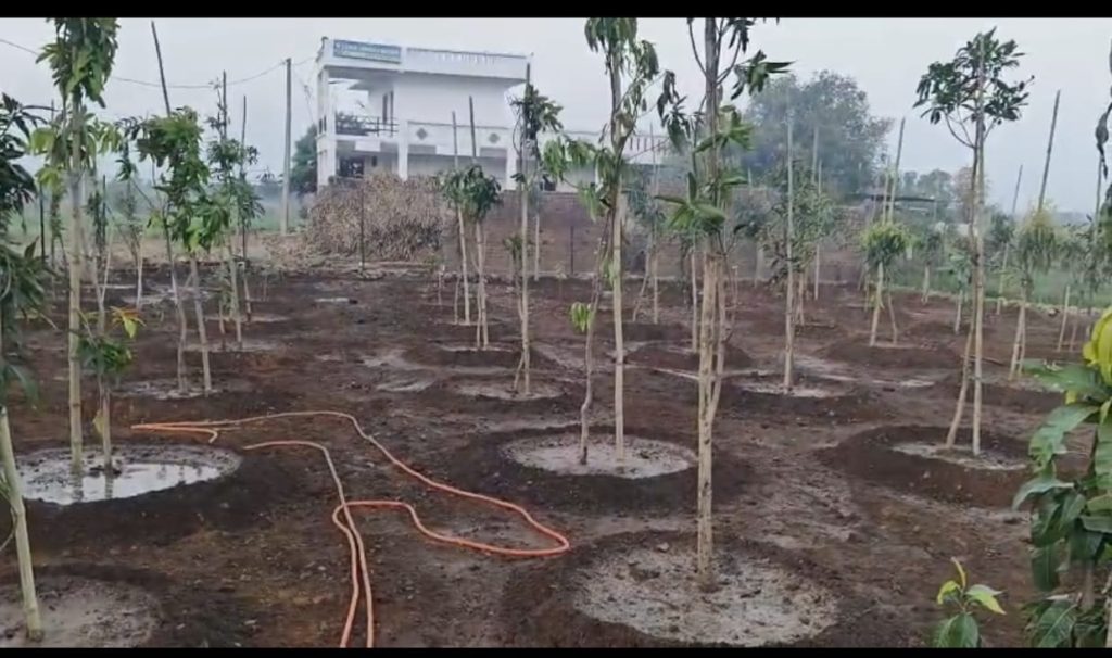 WhatsApp Image 2026 02 06 at 5.01.00 PM