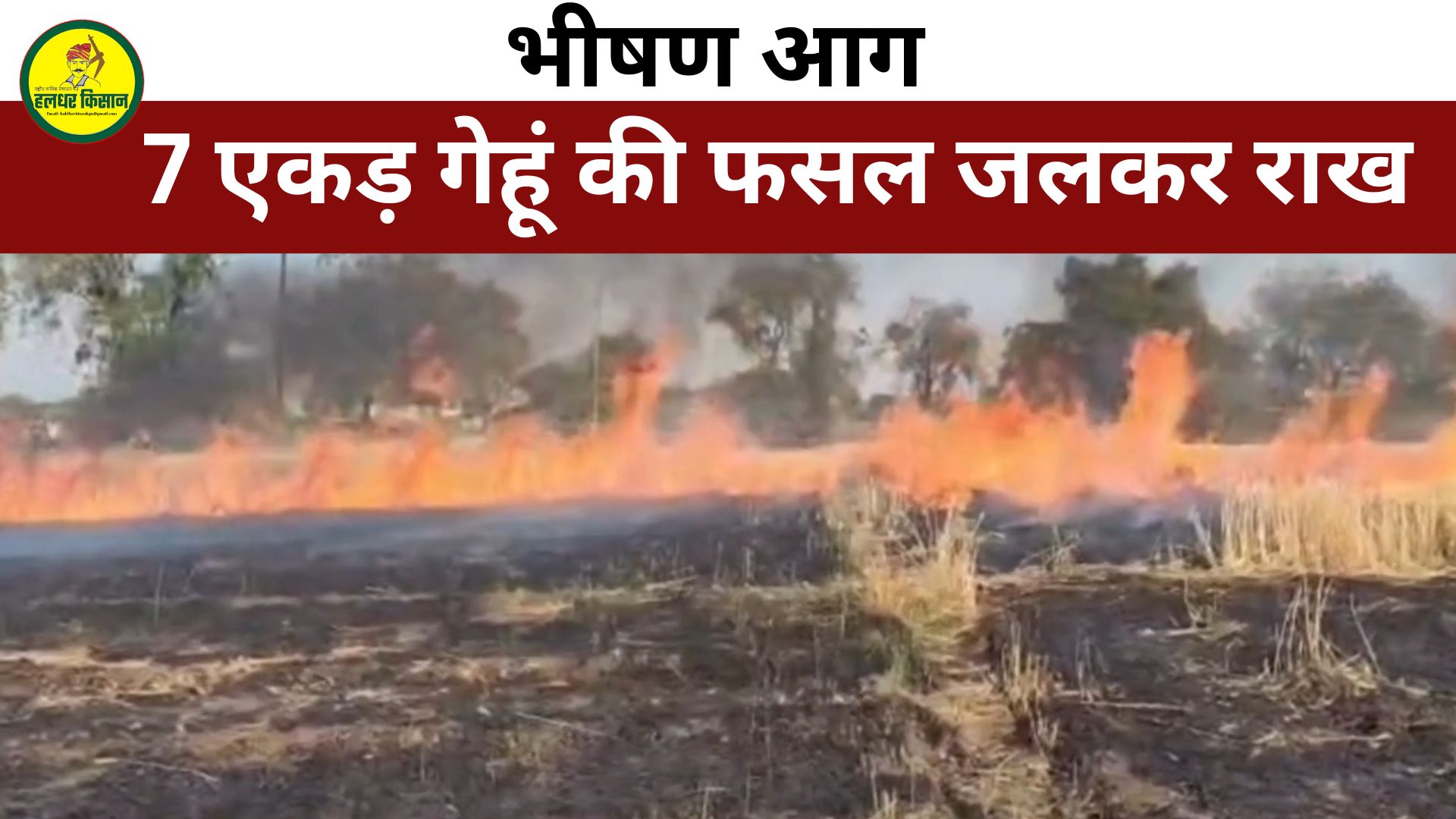 A massive fire in Gopalpura gutted 7 acres of wheat crop causing losses worth lakhs to farmers