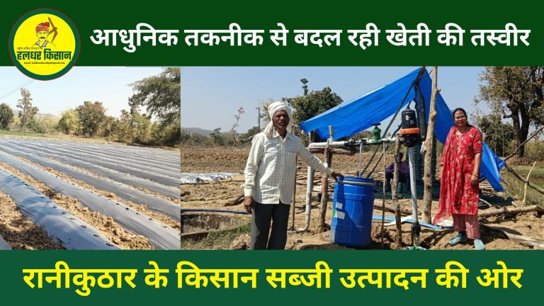 आधुनिक तकनीक से बदल रही खेती की तस्वीर, रानीकुठार के किसान सब्जी उत्पादन की ओर बढ़े