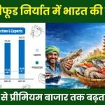 Indias Seafood Exports Jump From Production to Premium Market Growth