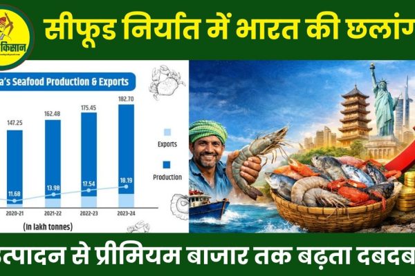 Indias Seafood Exports Jump From Production to Premium Market Growth