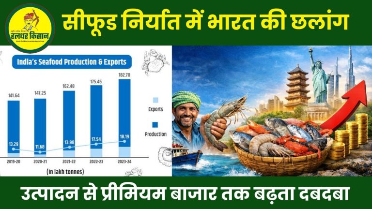 “सीफूड निर्यात में भारत की छलांग: उत्पादन से प्रीमियम बाजार तक बढ़ता दबदबा”