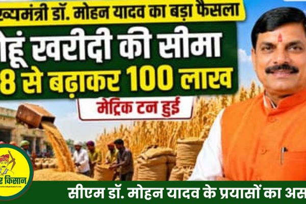 big focus on pulses oilseeds and farmer income 1