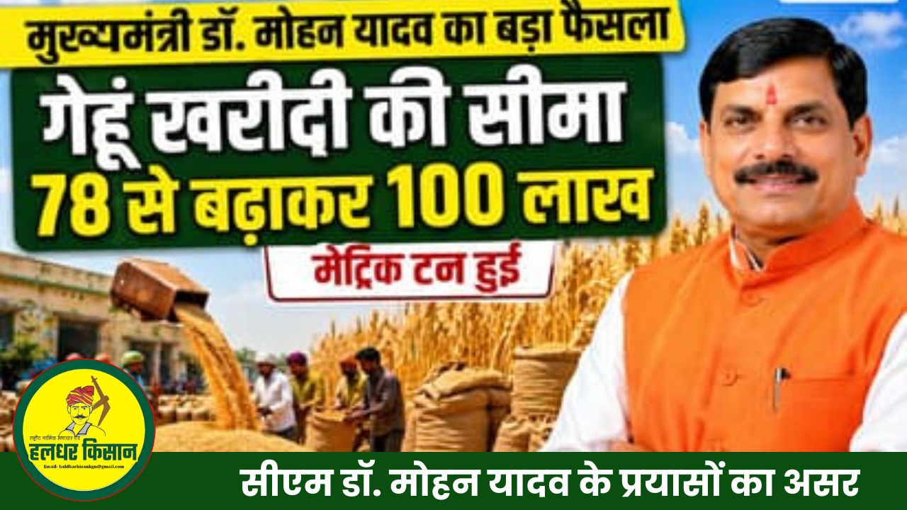 big focus on pulses oilseeds and farmer income 1