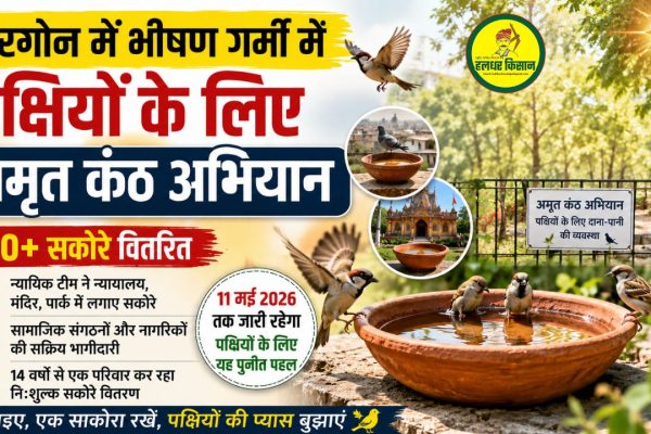 Amrit Kanth Abhiyan in Khargone becomes a life saving initiative for birds