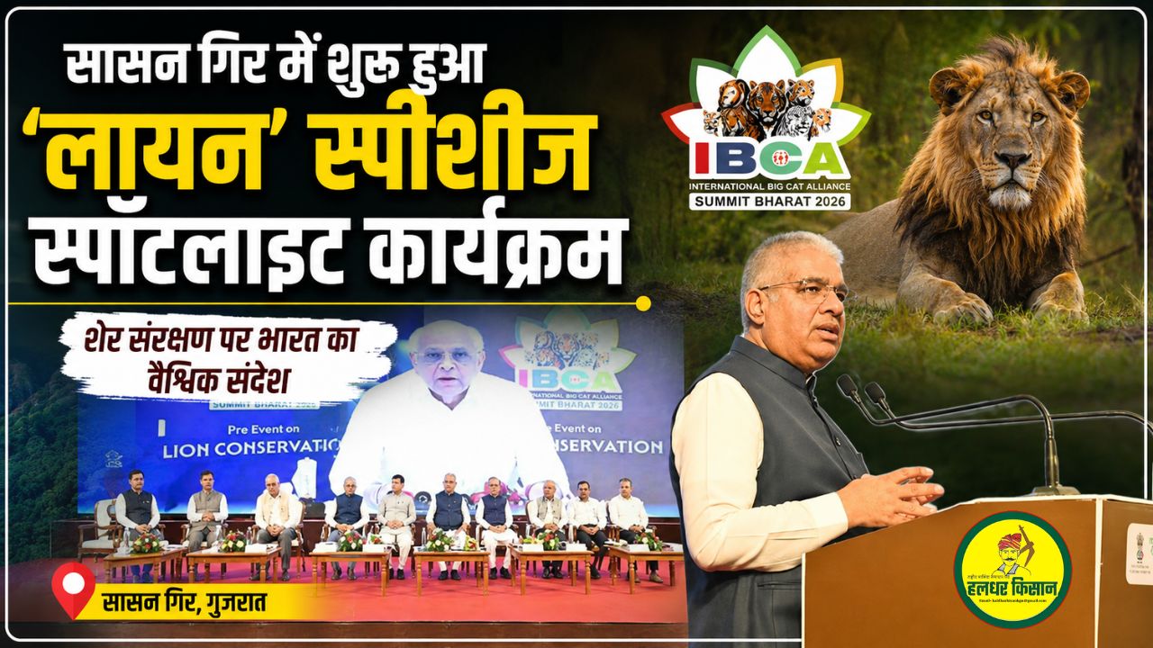 The message of lion conservation resonates in Sasan Gir with Union Minister Bhupendra Yadav inaugurating the Lion Species Spotlight Programme