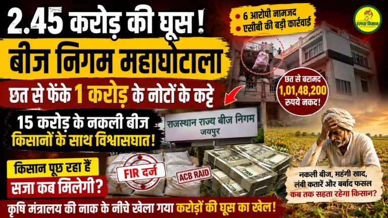 A bribe of ₹2.45 crore spurious seeds worth ₹15 crore and a betrayal of farmers