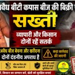 Crackdown on sale of illegal Bt cotton seeds traders and farmers should be cautious