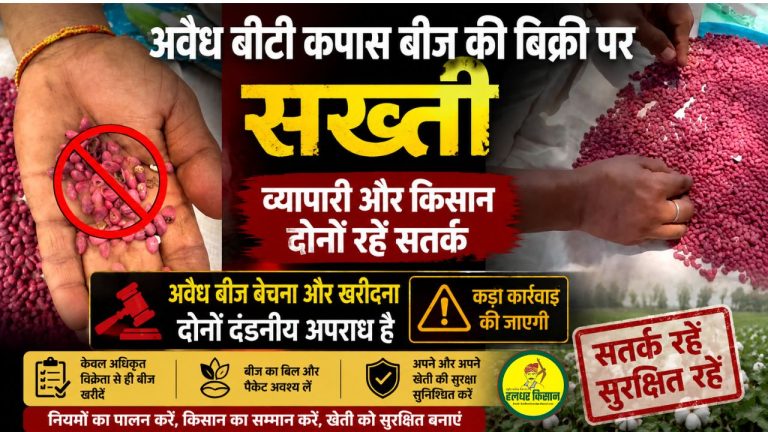 अवैध बीटी कपास बीज की बिक्री पर सख्ती, व्यापारी और किसान दोनों रहें सतर्क