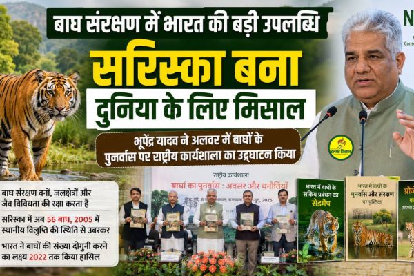 Indias major achievement in tiger conservation