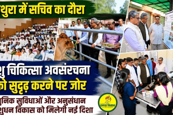 Inspection of veterinary and research facilities in Mathura