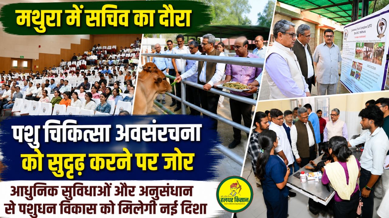 Inspection of veterinary and research facilities in Mathura