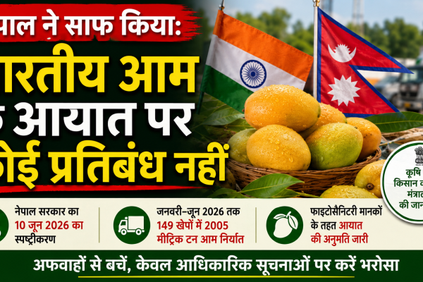 Nepal has not banned Indian mangoes