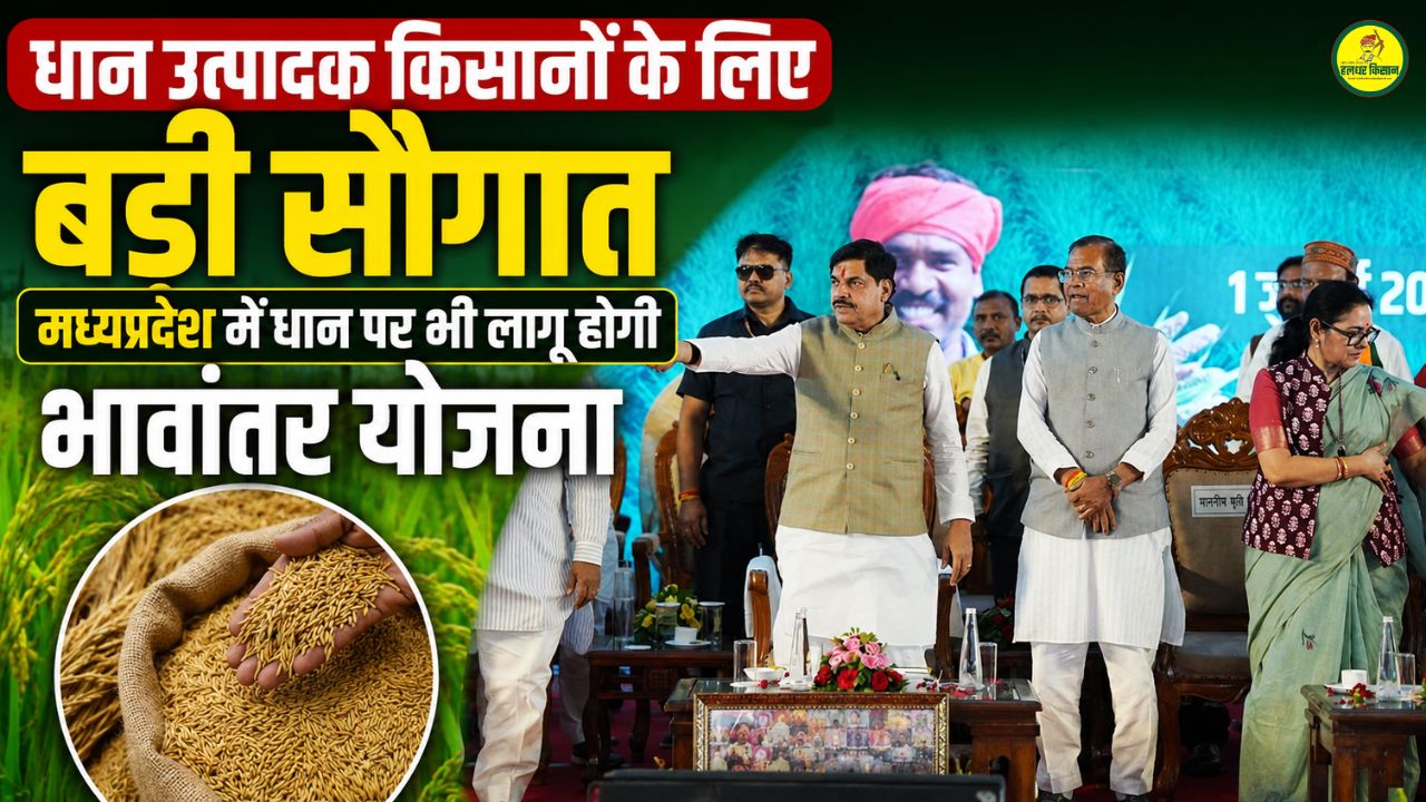 A major boon for paddy farmers
