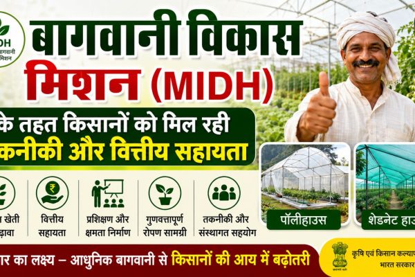 Farmers receiving technical and financial assistance for protected cultivation under the Horticulture Development Mission