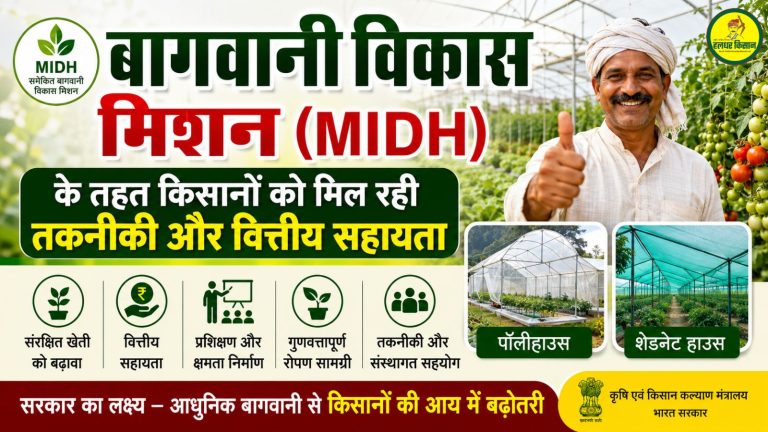 Farmers receiving technical and financial assistance for protected cultivation under the Horticulture Development Mission