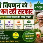 Government focuses on strengthening agricultural marketing