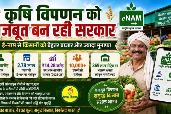 Government focuses on strengthening agricultural marketing