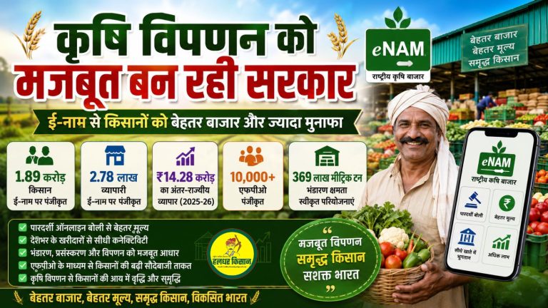 Government focuses on strengthening agricultural marketing