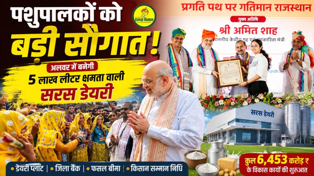 A major gift for livestock farmers A Saras dairy plant with a capacity of 5 lakh liters to be built in Alwar