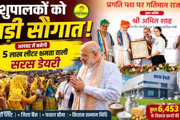 A major gift for livestock farmers A Saras dairy plant with a capacity of 5 lakh liters to be built in Alwar