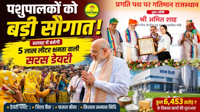 A major gift for livestock farmers A Saras dairy plant with a capacity of 5 lakh liters to be built in Alwar