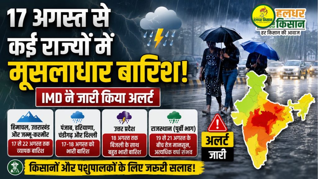 Alert issued for torrential rain in several states starting today August 17 IMD issues advisory to farmers