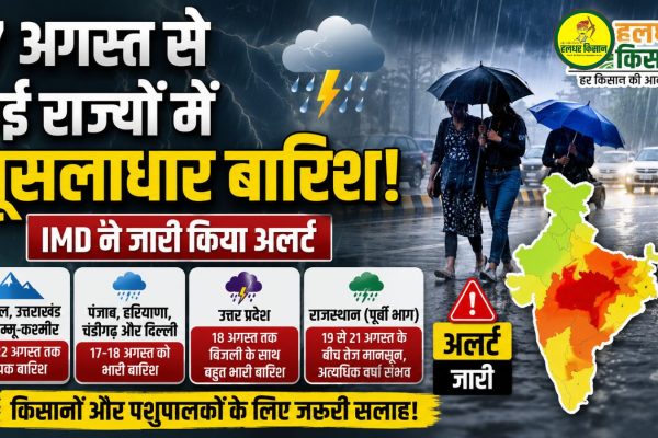Alert issued for torrential rain in several states starting today August 17 IMD issues advisory to farmers