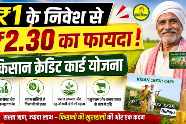 Kisan Credit Card Scheme brings significant economic benefits to the agricultural sector