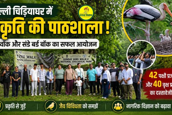 Natures Classroom at Delhi Zoo 42 Bird and 40 Tree Species Documented